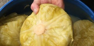 Ako pogriješite datum, sve vam može propasti: Evo kada se tačno kiseli kupus ove godine Ako pogriješite datum, sve vam može propasti: Evo kada se tačno kiseli kupus ove godine - featured image