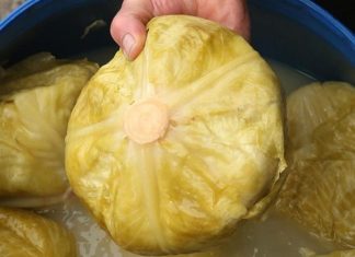 Ako pogriješite datum, sve vam može propasti: Evo kada se tačno kiseli kupus ove godine Ako pogriješite datum, sve vam može propasti: Evo kada se tačno kiseli kupus ove godine - featured image