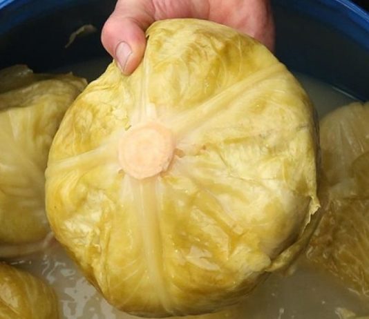 Ako pogriješite datum, sve vam može propasti: Evo kada se tačno kiseli kupus ove godine Ako pogriješite datum, sve vam može propasti: Evo kada se tačno kiseli kupus ove godine - featured image