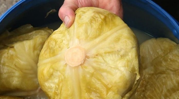 Ako pogriješite datum, sve vam može propasti: Evo kada se tačno kiseli kupus ove godine Ako pogriješite datum, sve vam može propasti: Evo kada se tačno kiseli kupus ove godine - featured image