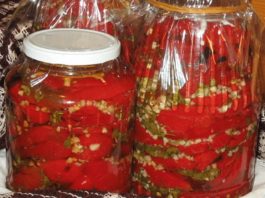 MARINIRANE PAPRIKE NA MAKEDONSKI NAČIN – Mali kuhar MARINIRANE PAPRIKE NA MAKEDONSKI NAČIN - Mali kuhar - featured image